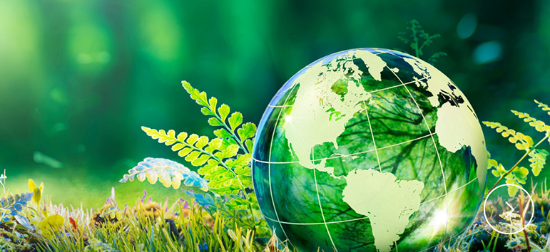 カーボンニュートラルの取り組み